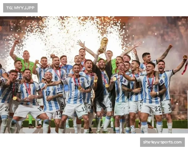 世界杯分组抽签仪式落幕 16座主办城市准备迎接足球盛宴